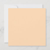 Oranje ijsscheerapparaat kaart (Achterkant)