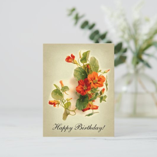 Oranje Indische kers Briefkaart (Staand voorkant)