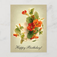 Oranje Indische kers