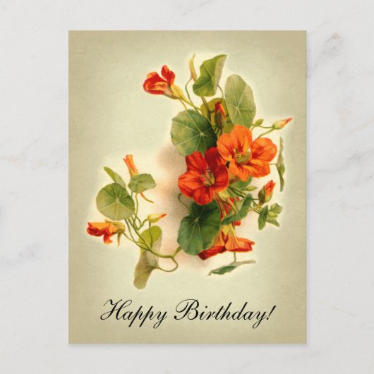 Oranje Indische kers Briefkaart (Voorkant)