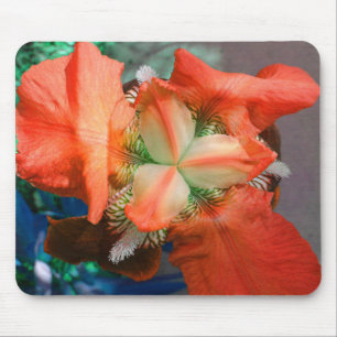 Oranje Iris Mousepad Muismat