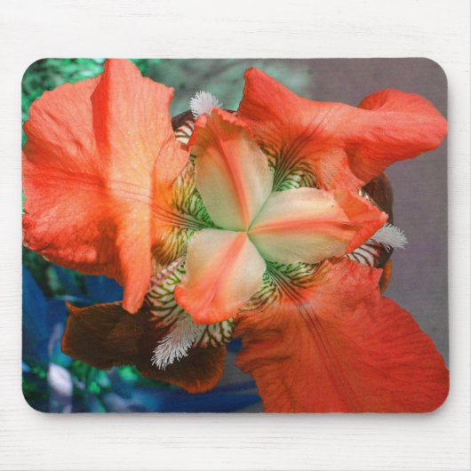 Oranje Iris Mousepad Muismat (Voorkant)
