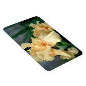 Oranje Irises in een zomertuin Magneet (Rechterzijde)