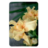 Oranje Irises in een zomertuin Magneet (Verticaal)