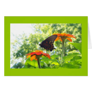 Oranje is Mijn Happy Kleur