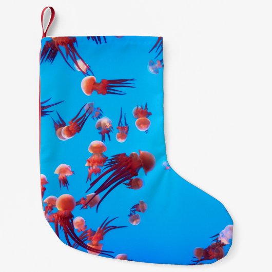ORANJE JELLY FISH KLEINE KERSTSOK (Voorkant)