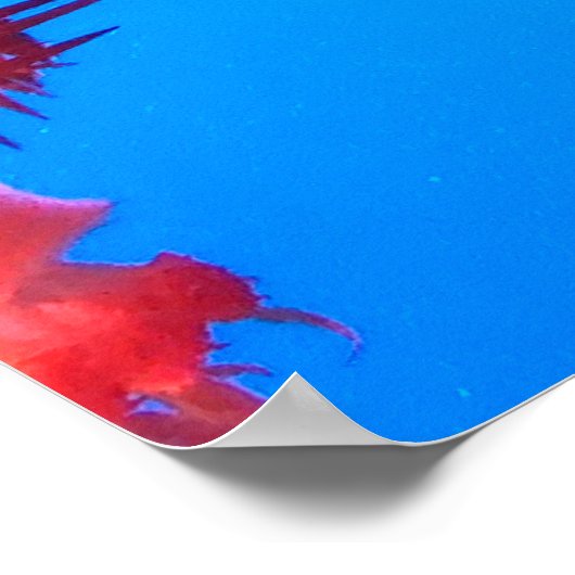 ORANJE JELLY FISH POSTER (Hoek)