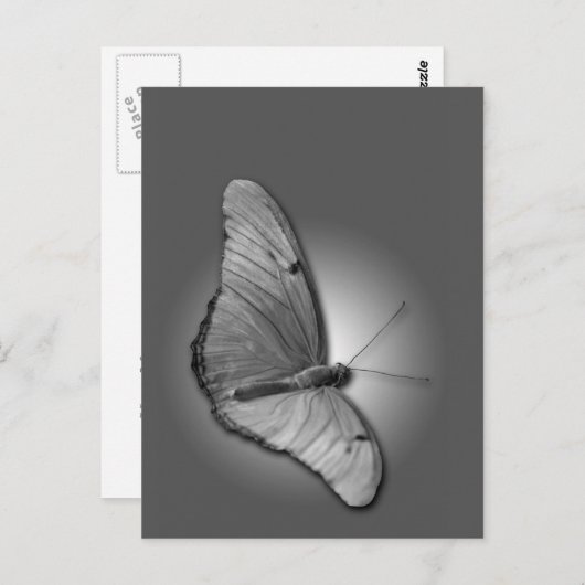 Oranje Julia Briefkaart (Voorkant / Achterkant)