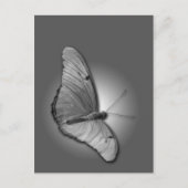 Oranje Julia Briefkaart (Voorkant)