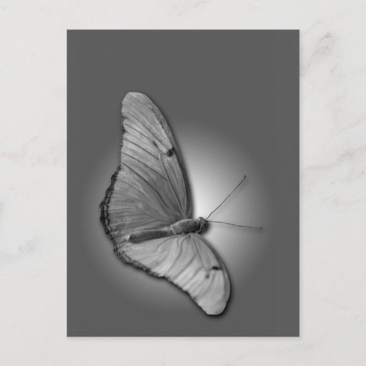 Oranje Julia Briefkaart (Voorkant)