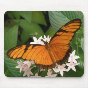 Oranje Julia Butterfly Mousepad Muismat