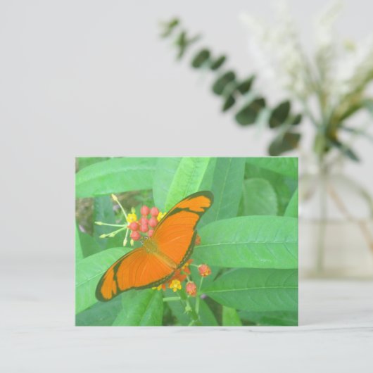 Oranje Julia Tropical Butterfly Briefkaart (Staand voorkant)
