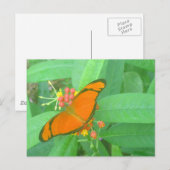 Oranje Julia Tropical Butterfly Briefkaart (Voorkant / Achterkant)