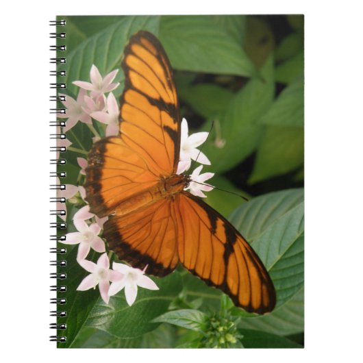 Oranje Julia Vlinder Notitieboek (Voorkant)