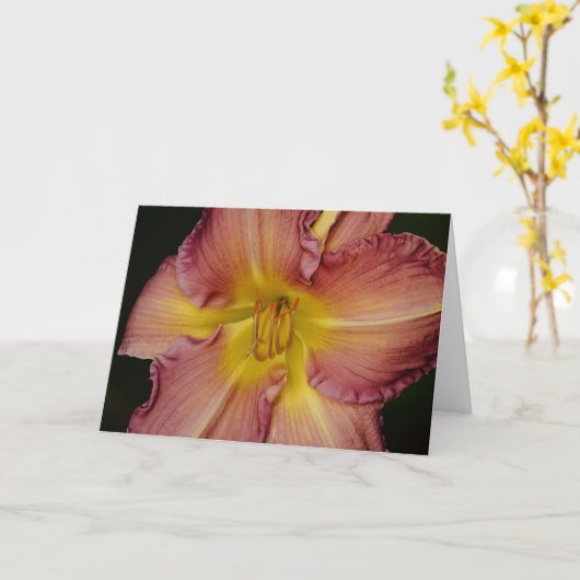  Oranje Kaart rode Lily Nota (Gele Bloem)