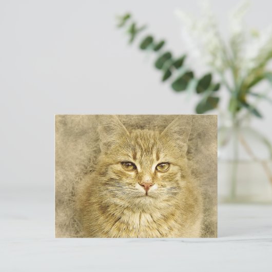  Oranje Kat | ABSTRACT | WATERVERF Briefkaart (Staand voorkant)