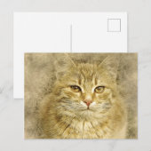  Oranje Kat | ABSTRACT | WATERVERF Briefkaart (Voorkant / Achterkant)