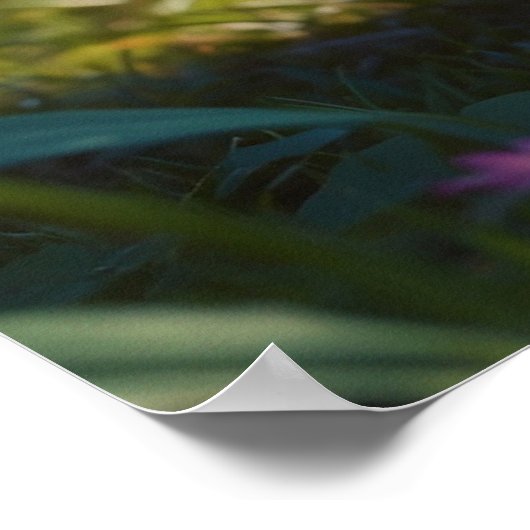 *~* Oranje Kat AP68 5:4 Fluffy Feline Kitten Poster (Hoek)