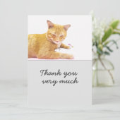 Oranje kat bevindt zich op witte achtergrond Kaart (Staand voorkant)