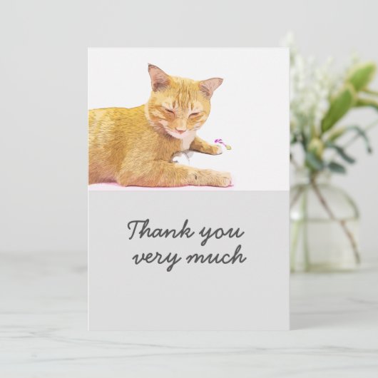 Oranje kat bevindt zich op witte achtergrond Kaart (Staand voorkant)