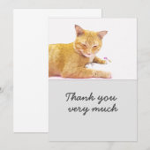 Oranje kat bevindt zich op witte achtergrond Kaart (Voorkant / Achterkant)