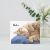 Oranje kat briefkaart (Staand voorkant)