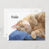 Oranje kat briefkaart (Voorkant / Achterkant)