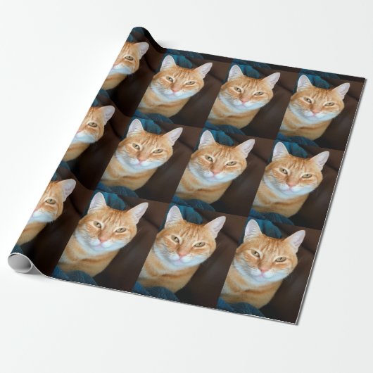 Oranje kat cadeaupapier (Uitgerold)