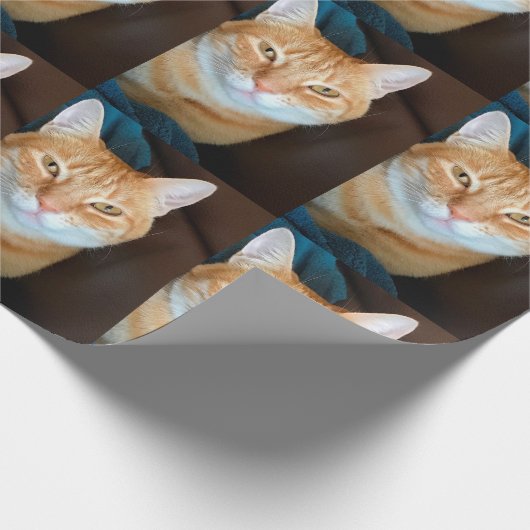 Oranje kat cadeaupapier (Hoek)