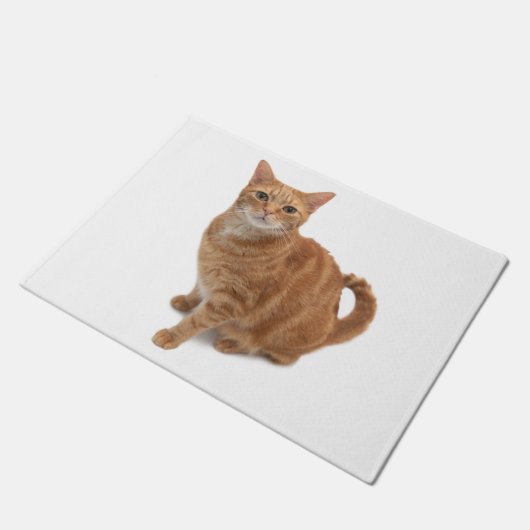 Oranje kat deurmat (Schuin)