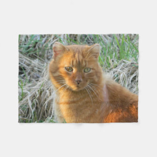 oranje kat fleece deken