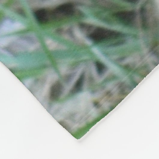 oranje kat fleece deken (Hoek)