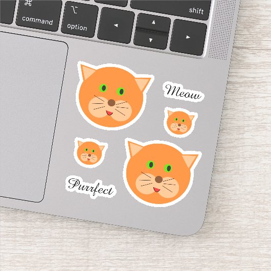 Oranje kat gezicht en tekst sticker (Detail)