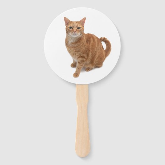 Oranje kat handwaaier (Voorkant)