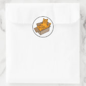 Oranje kat in een doos Funny Ronde Sticker (Tas)