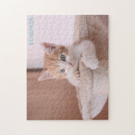 Oranje kat in kattenboom / Oranje kitten Legpuzzel