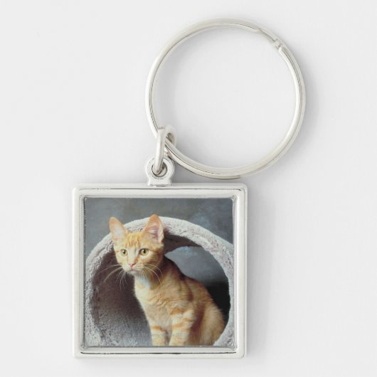 Oranje kat in Speelgoed Sleutelhanger (Voorkant)