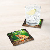 Oranje Kat Kartonnen Onderzetters (Insitu)