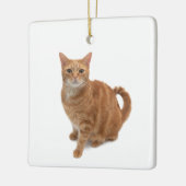 Oranje kat keramisch ornament (Links)