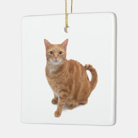 Oranje kat keramisch ornament (Links)