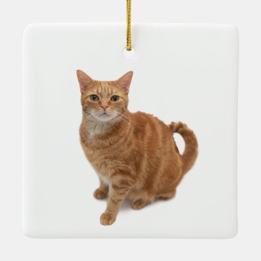 Oranje kat keramisch ornament (Achterkant)