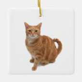 Oranje kat keramisch ornament (Voorkant)