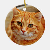 Oranje kat keramisch ornament (Voorkant)