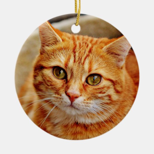 Oranje kat keramisch ornament (Voorkant)