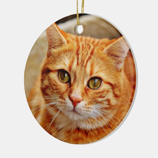 Oranje kat keramisch ornament (Links)