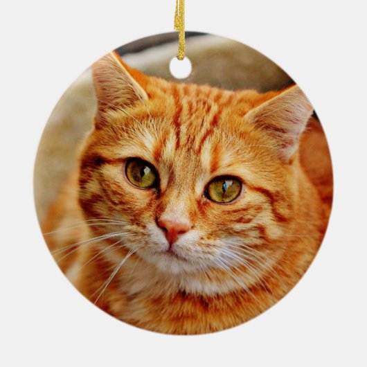 Oranje kat keramisch ornament (Achterkant)