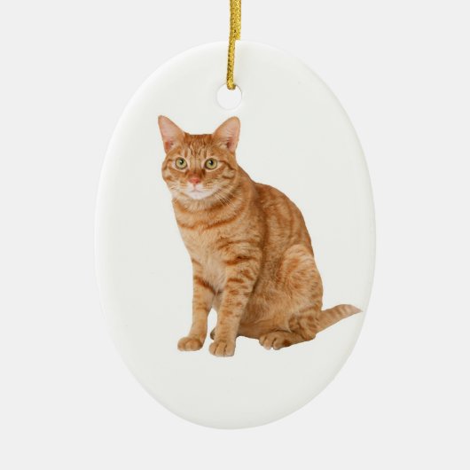 Oranje kat keramisch ornament (Voorkant)
