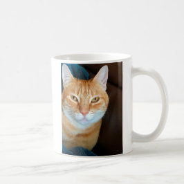 Oranje kat koffiemok