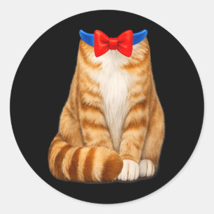 Oranje kat kostuum tabby dasje schattig grappig hu ronde sticker