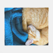 Oranje kat kromp op blauwe deken (Voorkant (Horizontaal))